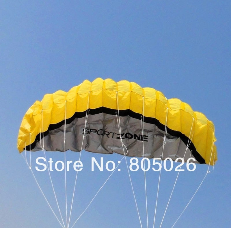 free shipping 2.5m dual Line Stunt power Kite soft kite Parafoil kite surf flying outdoor fun sports kites kiteboard factory koi